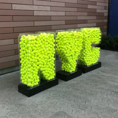 shinnosuke4533's profile picture. 