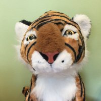 Russell Street School (@rss_littleton) 's Twitter Profile