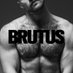 Brutus Party (@brutus_party) Twitter profile photo Brutus Party (@brutus_party) Twitter profile photo