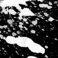 卯月 花音 Lu Kanon Twitter 卯月 花音 Lu Kanon Twitter