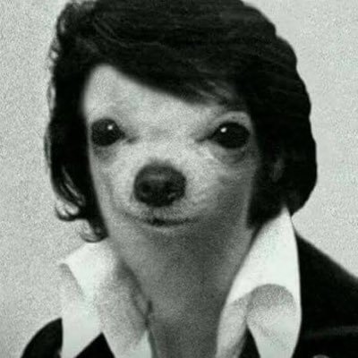 ledmikezelpe's profile picture. Ingeniero Industrial