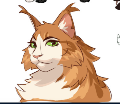 starflowerhours's profile picture. Wife of Clear Sky, mother, and full time bitch.

pfp by ursiday, thank you ursiday :)