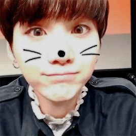 yoongiasxcats's profile picture. comparing my two favorite things.