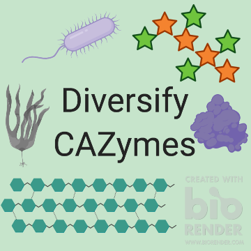 DiverseCAZymes Profile Picture