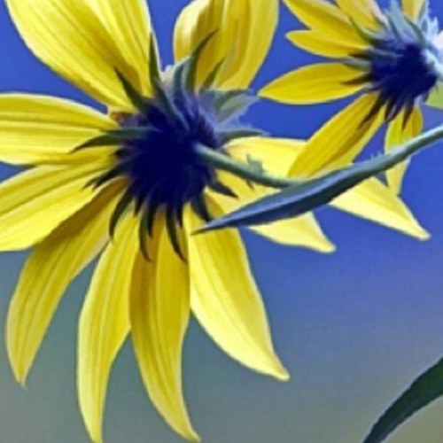 littletalk's profile picture. 