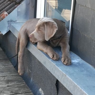 Fold4V's profile picture. #Bitcoin #NodeBetreiber #LightningNetwork #nostr npub18dur8mhdya5k3f3d27gkugyau25wqgjs46rqs5u8zm6fuh2w9fhqy0pg78