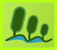 treetide's profile picture. Making the life of people working in the flash game software ecosystem easier.