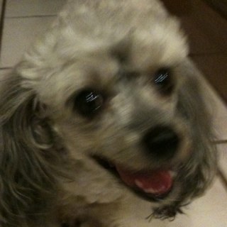 JazzandRobin's profile picture. 