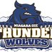 Niagara CCC Soccer (@niagaramsc) Twitter profile photo