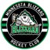 Blizzard Hockey Club (@Blizzard_HC) Twitter profile photo