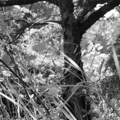Writer and Photographer.
Themes concerning Photography, Traveling and Society in general are awaiting your here.