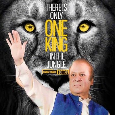 AliRana04626420's profile picture. PML N meri Jan