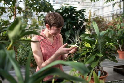 Trichome ecology + morphology + evolution in Loasaceae ⎮ @CornellCALS ⇢ @MSUNatSci  ⇢  @UMichEEB 🌿 | sci/botanical illustrator  🖌 ⎮ she/her