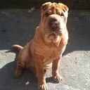 Scott Marcus - @sco77ie_1986 - Twitter