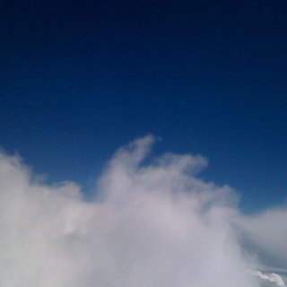 teamtscott's profile picture. 