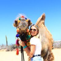 Hannah Neece (@hannahneece) 's Twitter Profile