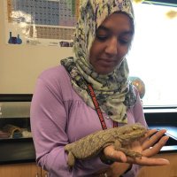 Fatimah Amatullah (@amatullahcisd) 's Twitter Profile