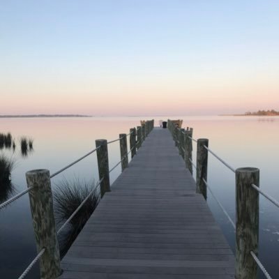 Catie_Gardy's profile picture. 