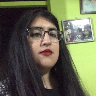 Estudiante de Ingeniería en Administración Pública y Municipal, LGBTQIA Supporter, Profesora de Inglés, Violinista, Cat Lover