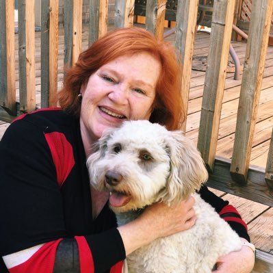 E31749073's profile picture. 