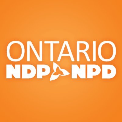To elect an NDP MPP while raising awareness of social issues and improving the lives of families, making life more affordable for all.