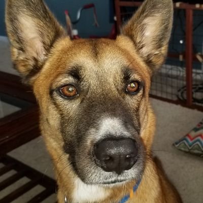 AaronAppolloni's profile picture. Custom swimming pool /spa designer