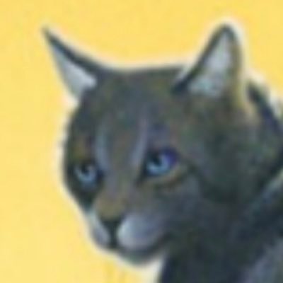 roadkilldoctor's profile picture. ✨Medicine cat✨ 🌿She/Her🌿