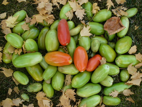 stuckincarn's profile picture. I like Calgary and feminism.