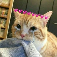 lolita garcia (@min4caprichosa) 's Twitter Profile
