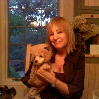 Barbara Gunn - @barbaragunn Twitter Profile Photo