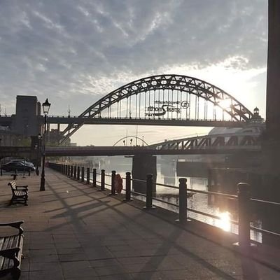 DavidAr83313311's profile picture. 