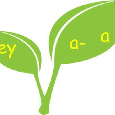 A phonics programme that uses oral work, questioning, collaboration and kinaesthetic learning all based within recognisable contexts.