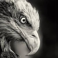 abdelazim26 (@abdelazim26) 's Twitter Profile Photo abdelazim26 (@abdelazim26) 's Twitter Profile Photo