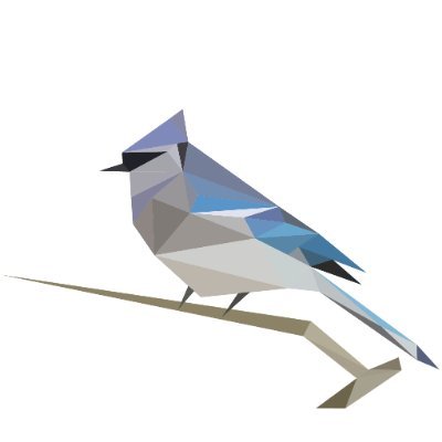 BirdNET_App Profile Picture