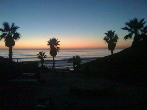 michael1578's profile picture. Love for all animals.