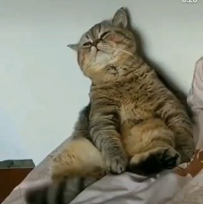 NovinaSantoso's profile picture. 