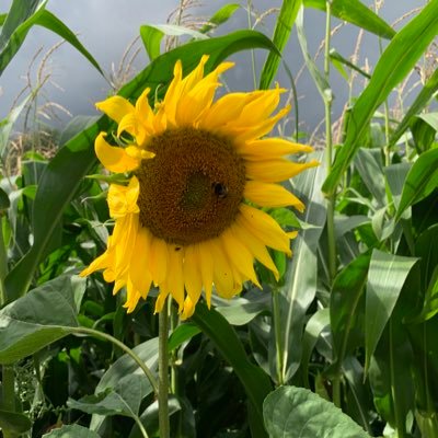 flwerpwr_'s profile picture. “Hold fast to love and justice” (Hosea 12:6).