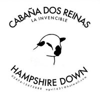 Cabaña Dos Reinas Hampshire Down (@dos_down) 's Twitter Profile