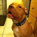 Efrain Colon - @eaglez215 - Twitter