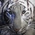 ãã©ãžãð¯ðïžæ¶è²»çšãªããŠå»æ¢ããðïžð¯ðµ (@dagjapvnxal) Twitter profile photo ãã©ãžãð¯ðïžæ¶è²»çšãªããŠå»æ¢ããðïžð¯ðµ (@dagjapvnxal) Twitter profile photo