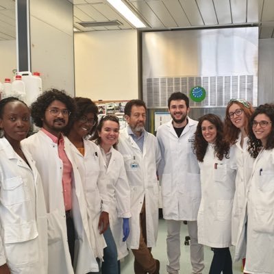 The Laboratory of Molecular Virology at @ICGEB