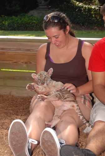 Ajilardi's profile picture. 