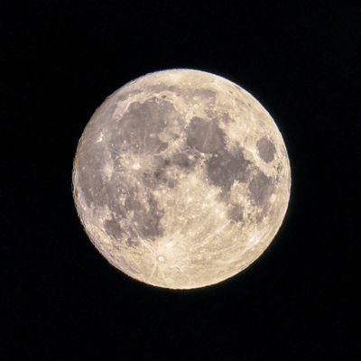 過去に乗っ取りがあり、別垢でしてましたが、最近無いようなので、こちらも再開します(๑•̀ •́)و✧