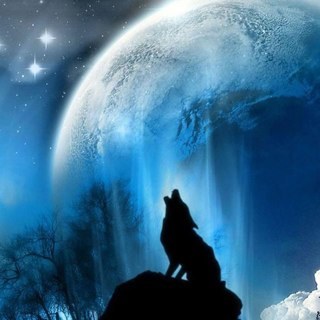 patotempio's profile picture. 