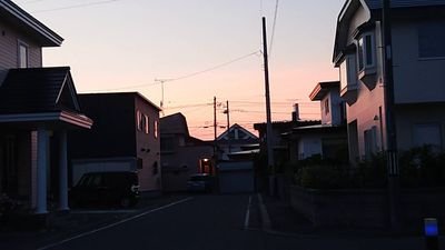 よもぎもちさんのプロフィール画像