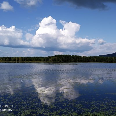 goldbelling's profile picture. 