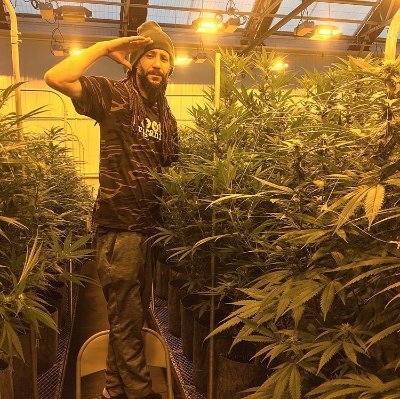 RasterRodney's profile picture. 🍁Are you ready for us to show u the way to happiness 🍃 California
Cannabis Wholesale
Distributor😀
