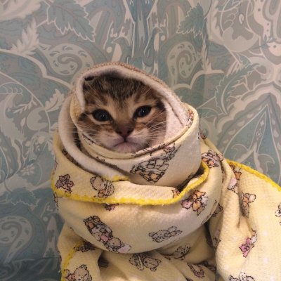 стая лающих собак из западной псарни Profile