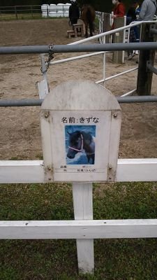 オグリキャップやユタカさんで沸いた頃、当時10代の少年は初めての競馬場に興奮した。ナリタブライアンに熱狂し、思い出の名馬も数知れず。競馬を楽しむ、純粋に‼️