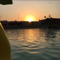 حكايه شاعر (@tmnnnetk81) 's Twitter Profile Photo حكايه شاعر (@tmnnnetk81) 's Twitter Profile Photo